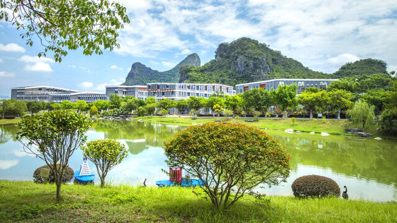 电动车控制器三极管放大电路：揭秘其核心应用与选型要点**