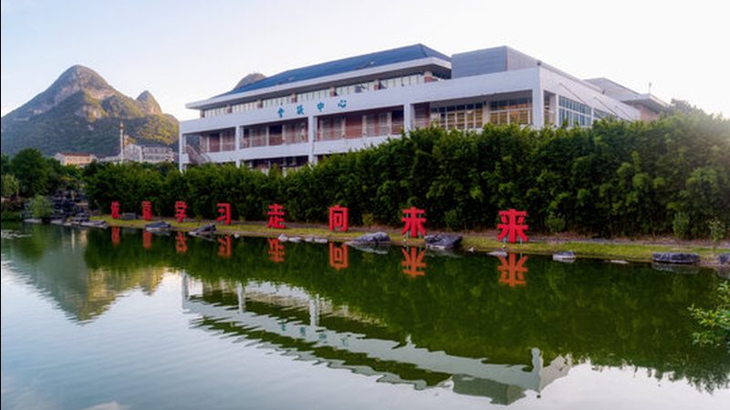 N4007二极管：揭秘其性能与选型要点