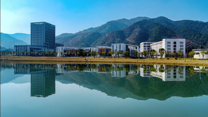 连接器端子价格之谜：揭秘其背后的成本构成**